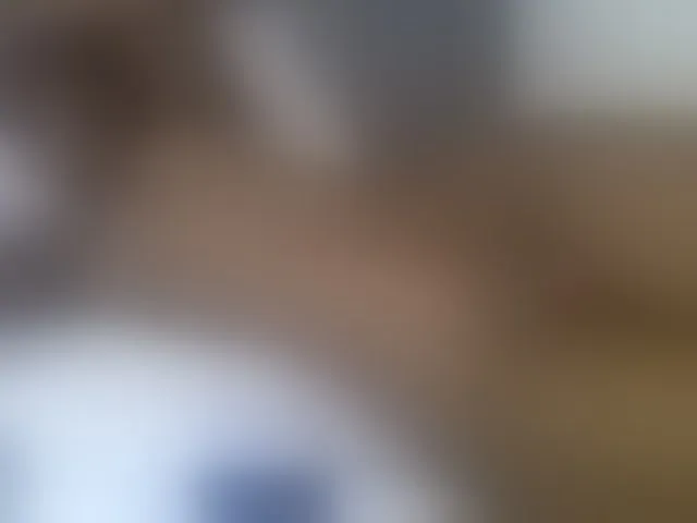 Live sex webcam photo for curvypetite001 #293369390