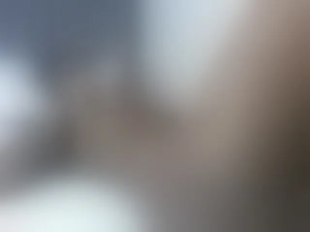 Live sex webcam photo for curvypetite001 #293443411