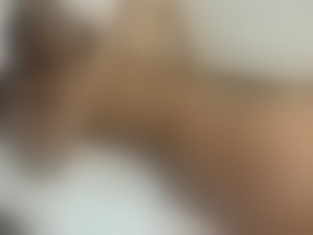 Live sex webcam photo for curvypetite001 #293583392