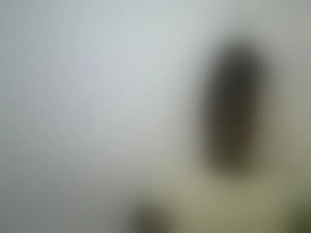 Live sex webcam photo for cute-heaven #292406465