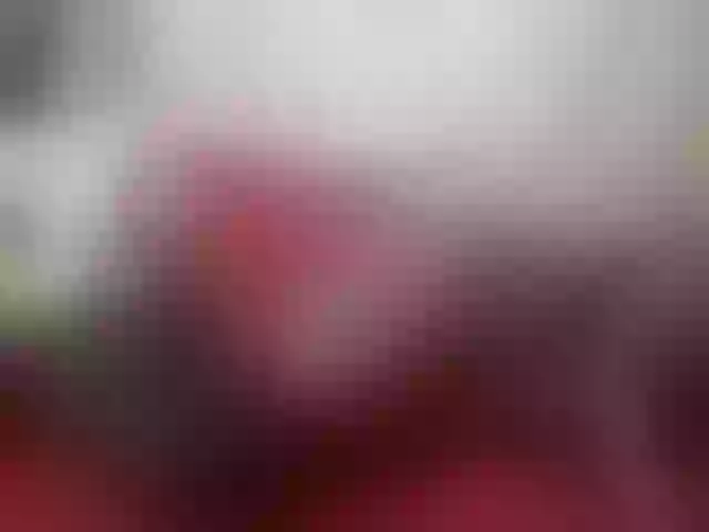 Live sex webcam photo for cute-letty #291981566