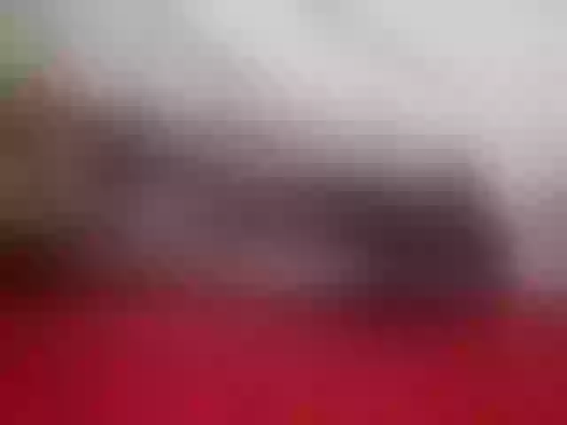 Live sex webcam photo for cute-letty #292156484