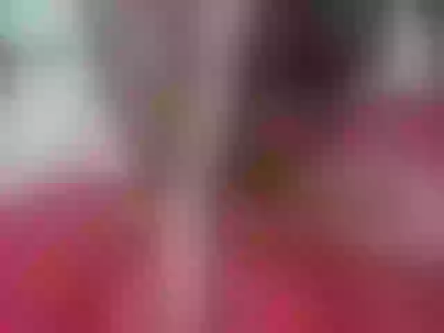 Live sex webcam photo for cute-letty #292231483