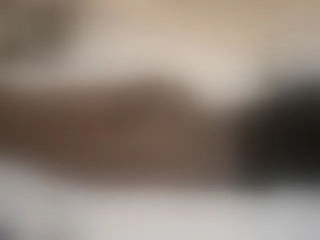 Live sex webcam photo for cute-letty #292315733