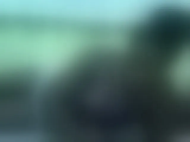 Live sex webcam photo for cute-liz #292968128