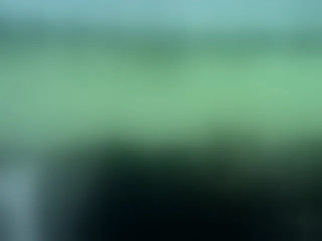 Live sex webcam photo for cute-liz #293010222