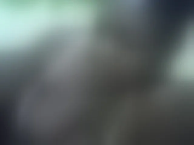 Live sex webcam photo for cute-liz #293222093