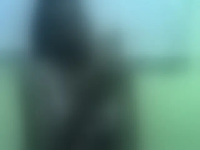 Live sex webcam photo for cute-liz #293365133