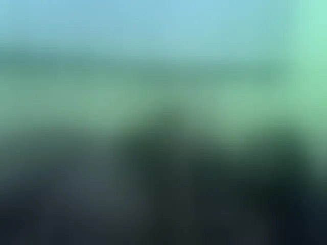Live sex webcam photo for cute-liz #293395413