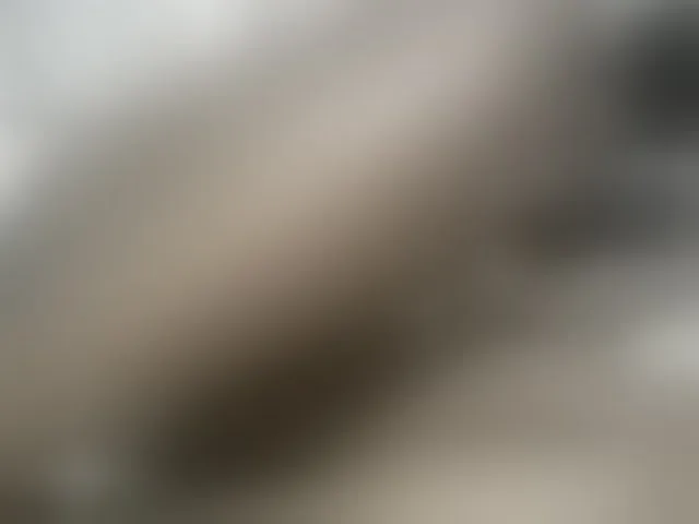 Live sex webcam photo for cute-mashall #292092446