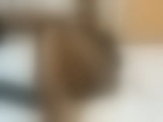 Live sex webcam photo for cute-mashall #293074141