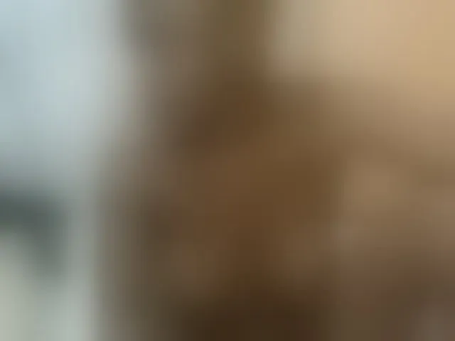 Live sex webcam photo for cute-mashall #293078038