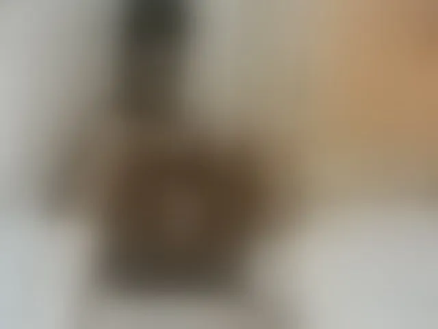 Live sex webcam photo for cute-mashall #293173686