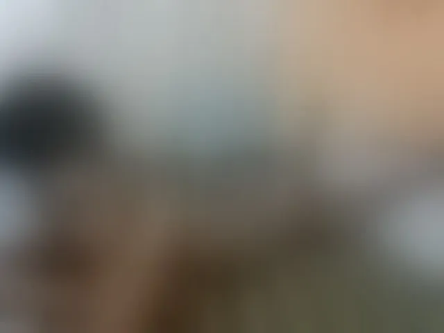 Live sex webcam photo for cute-mashall #293214316