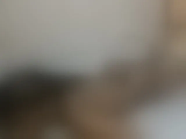 Live sex webcam photo for cute-mashall #293363294