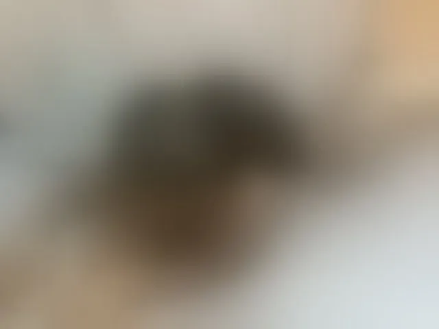Live sex webcam photo for cute-mashall #293378328