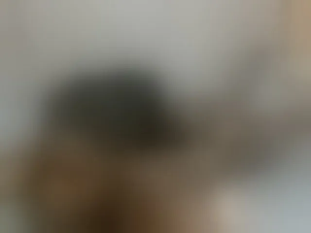 Live sex webcam photo for cute-mashall #293380021