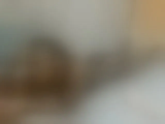 Live sex webcam photo for cute-mashall #293442022