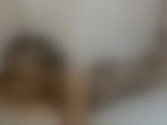 Live sex webcam photo for cute-mashall #293463234