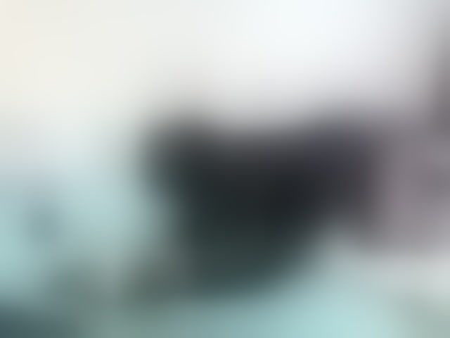 Live sex webcam photo for cute-mashall #293998398