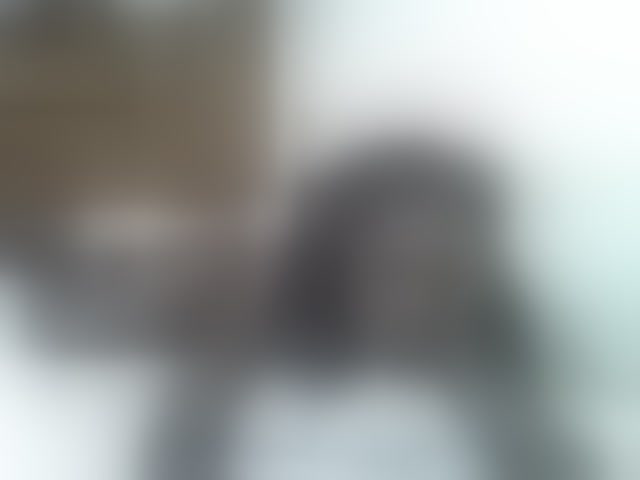 Live sex webcam photo for cute-tamara #293786983
