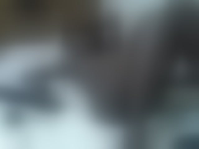 Live sex webcam photo for cute-tamara #293828907
