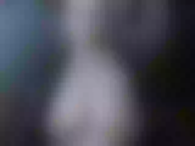 Live sex webcam photo for cutelatina #291404220