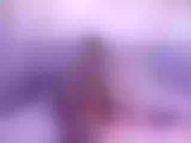 Live sex webcam photo for cutepetitee #291944402