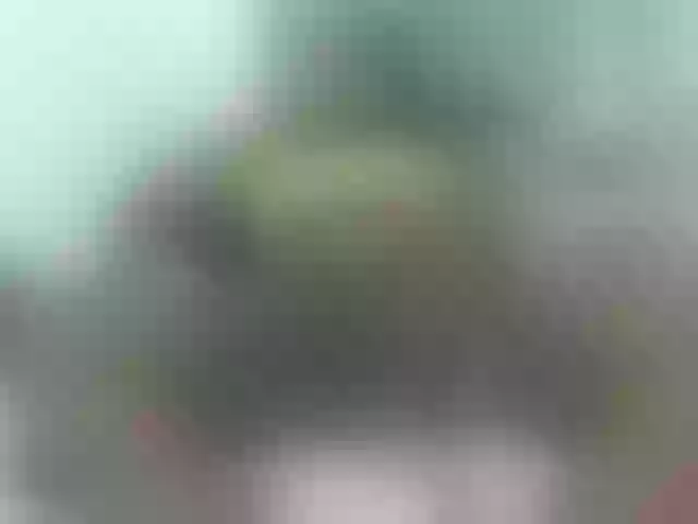 Live sex webcam photo for daiishawolf #291808532