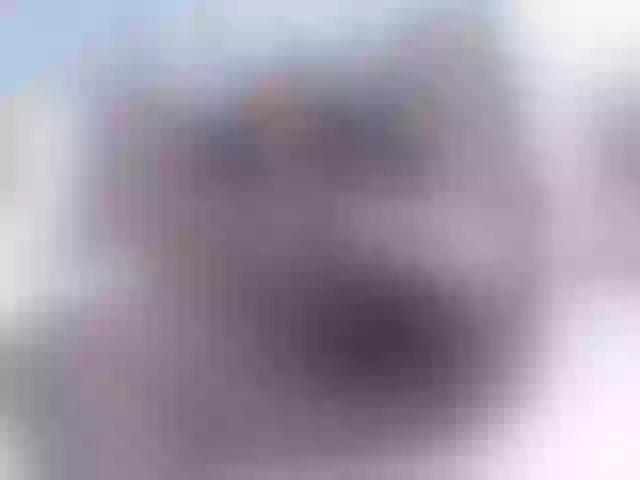 Live sex webcam photo for daiishawolf #292091908