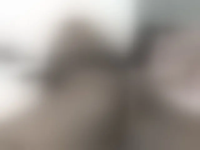 Live sex webcam photo for daiishawolf #292809328