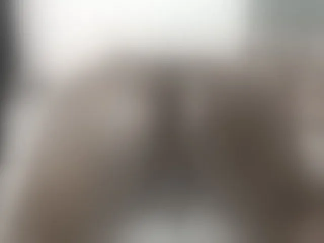 Live sex webcam photo for daiishawolf #292924293