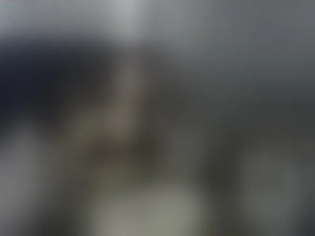 Live sex webcam photo for daila51 #292590394