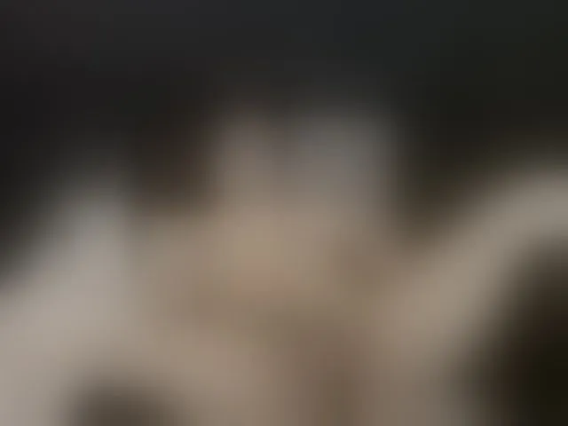 Live sex webcam photo for daila51 #292614020