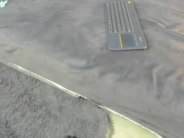 Live sex webcam photo for dakotacarvajal #290929911