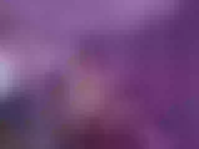 Live sex webcam photo for damilui #290885189