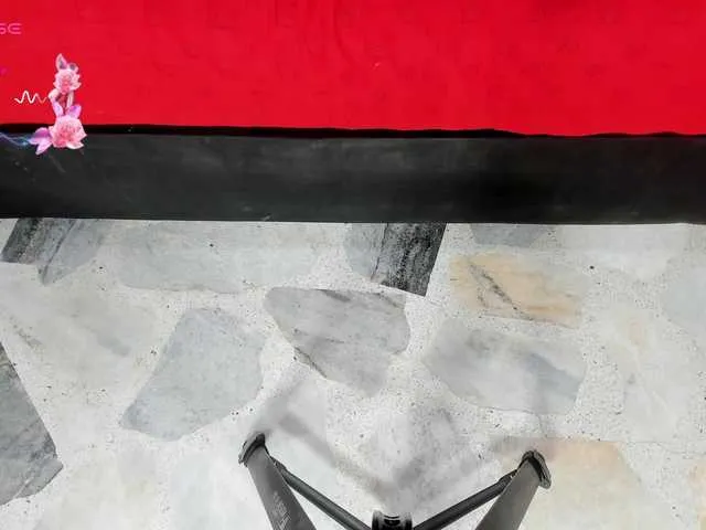 Live sex webcam photo for dani02 #291045052