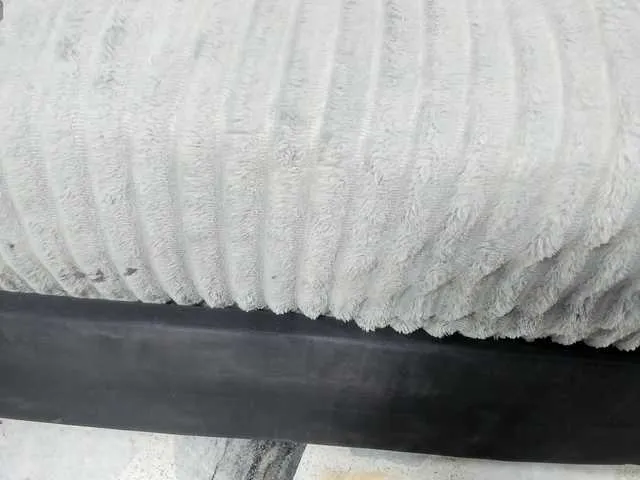 Live sex webcam photo for dani02 #291085044