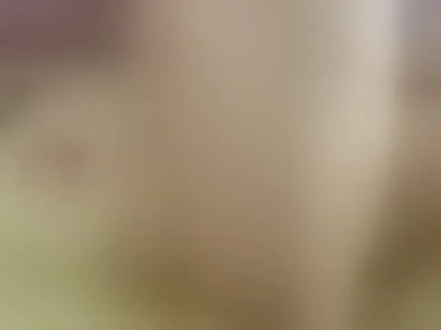 Live sex webcam photo for danilopezxxx #292748706