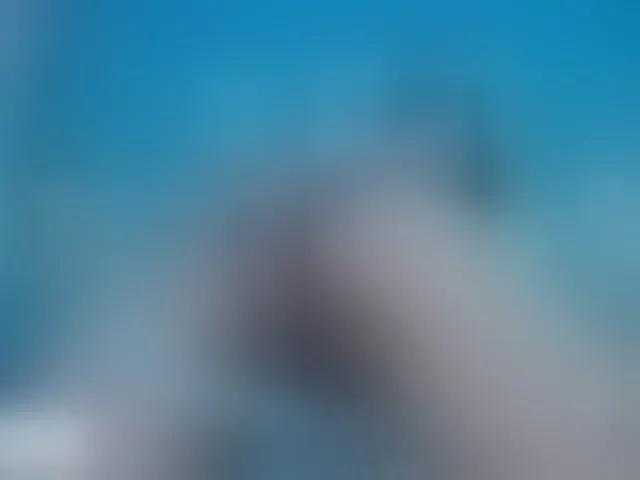 Live sex webcam photo for danna-roldann #290674606