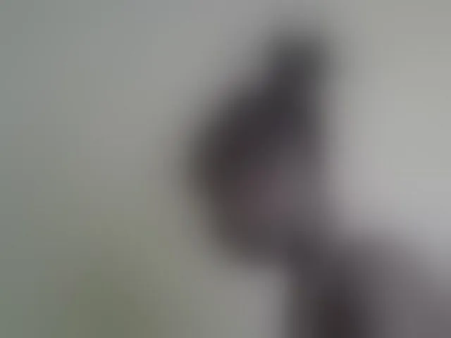 Live sex webcam photo for desirdoll23 #293205976