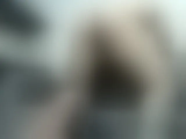 Live sex webcam photo for deu1 #291024624