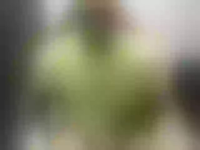 Live sex webcam photo for deu1 #291198669