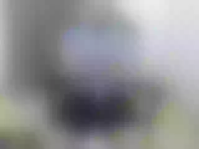 Live sex webcam photo for deu1 #292114127