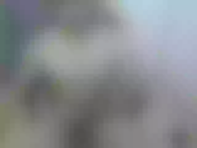 Live sex webcam photo for deu1 #292128333