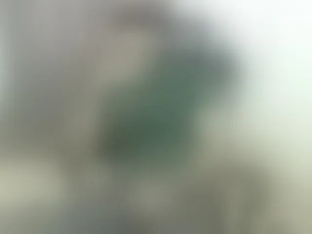 Live sex webcam photo for deu1 #292454219
