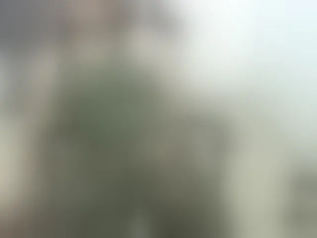 Live sex webcam photo for deu1 #292987778