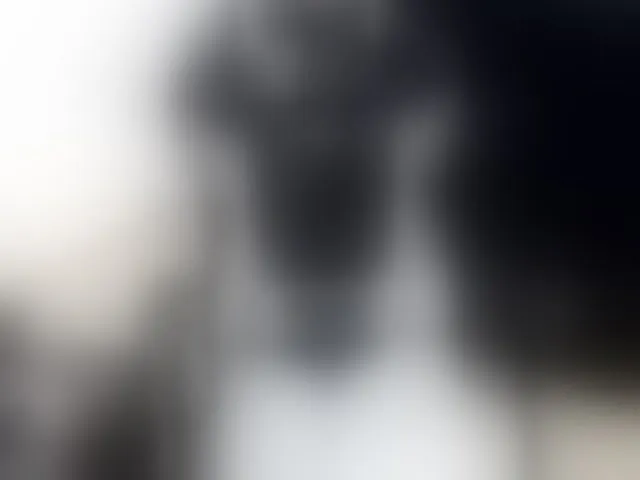 Live sex webcam photo for deu1 #294040627