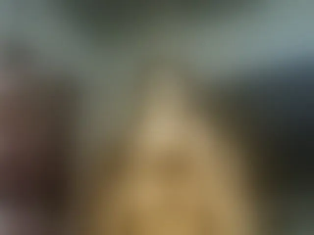 Live sex webcam photo for devilbigcockk #292833051