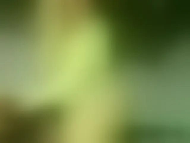 Live sex webcam photo for devilbigcockk #293498135